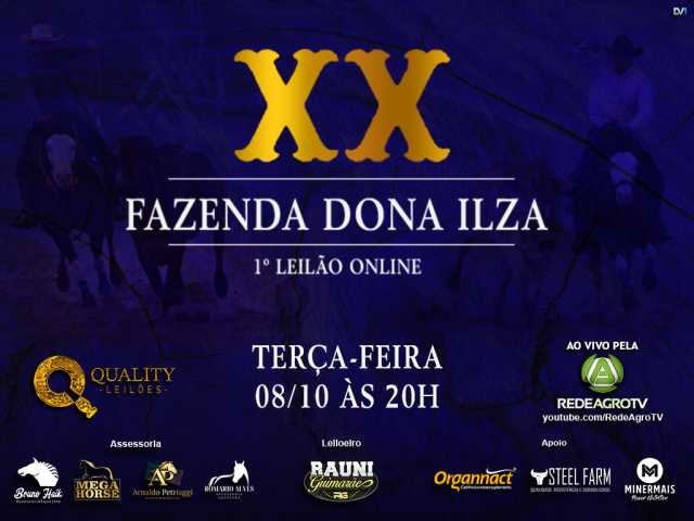 Leilão Fazenda Dona Ilza