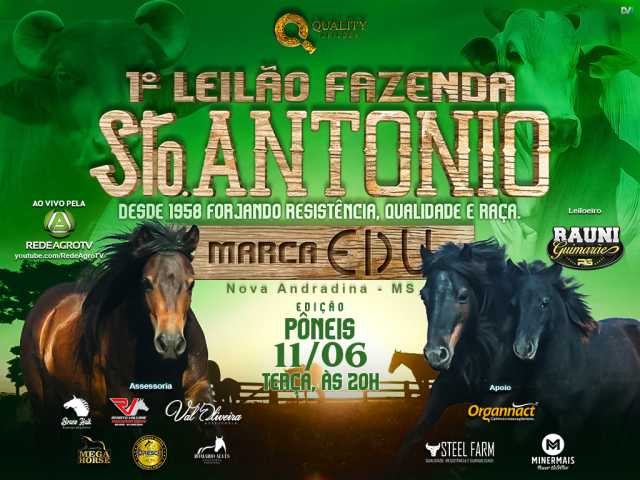 Leilão Faz. Sto. Antônio Marca EDU - Pôneis