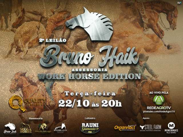 2º Leilão Bruno Haik Assessoria
