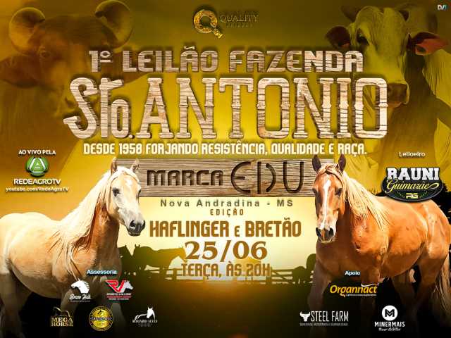 Leilão Faz. Sto. Antônio Marca EDU - Haflinger e Bretão
