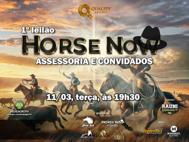 1° Leilão Horse Now Assessoria e Convidados