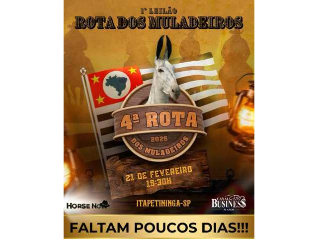 1° LEILÃO ROTA DOS MULADEIROS