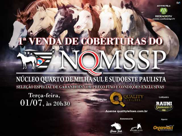 1ª Venda de Coberturas NQMSSP