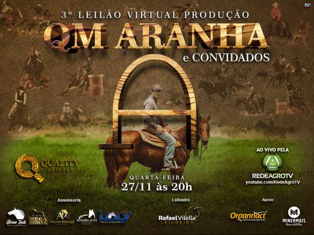 3º Leilão Virtual Produção QM ARANHA e Convidados