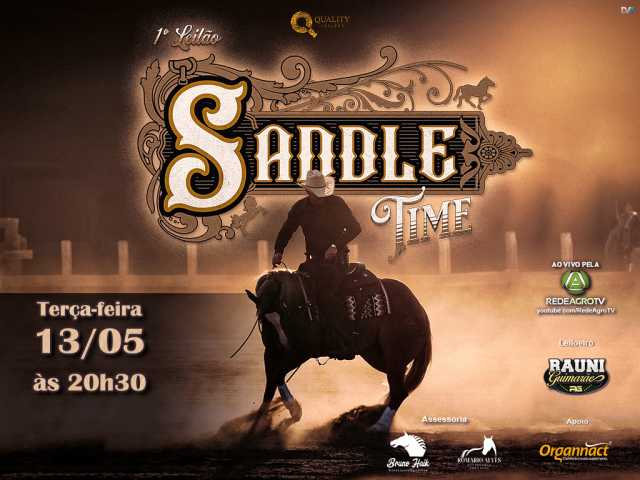 Leilão Saddle Time