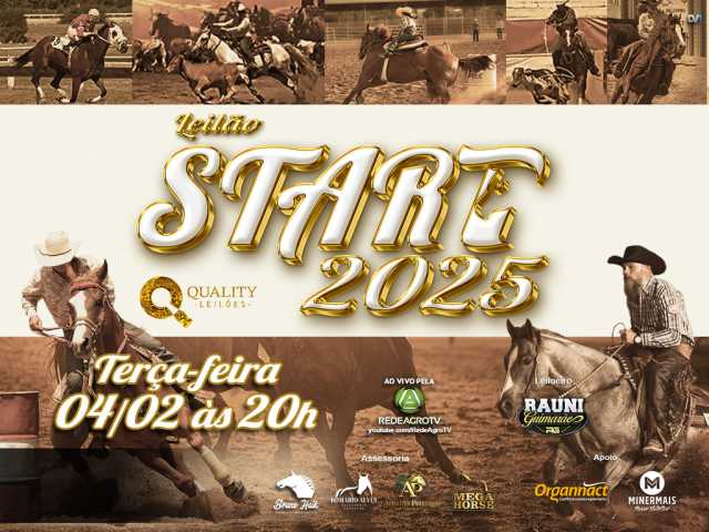 Leilão START 2025