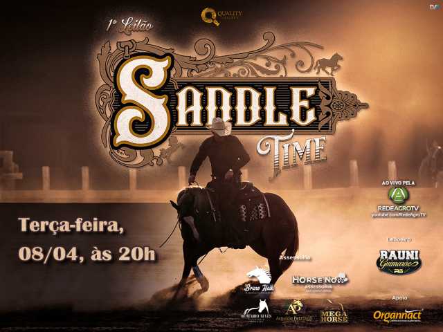 Leilão Saddle Time
