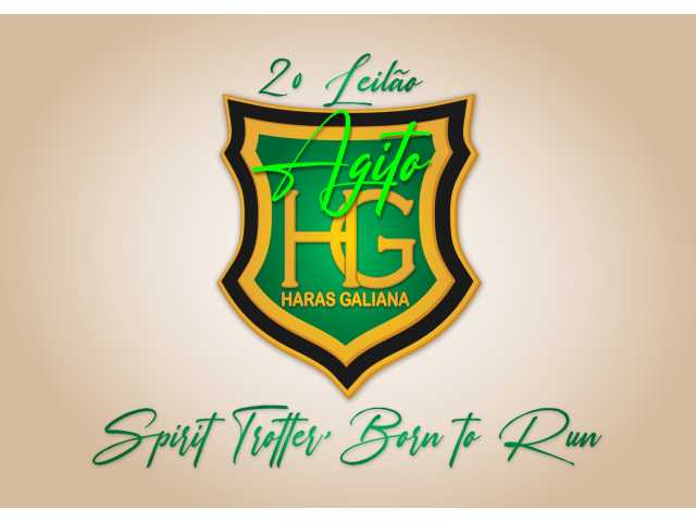 2º Leilão Agito Haras Galiana