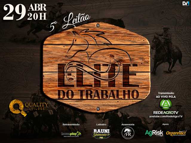 5º Elite do Trabalho