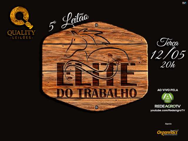 5º Elite do Trabalho