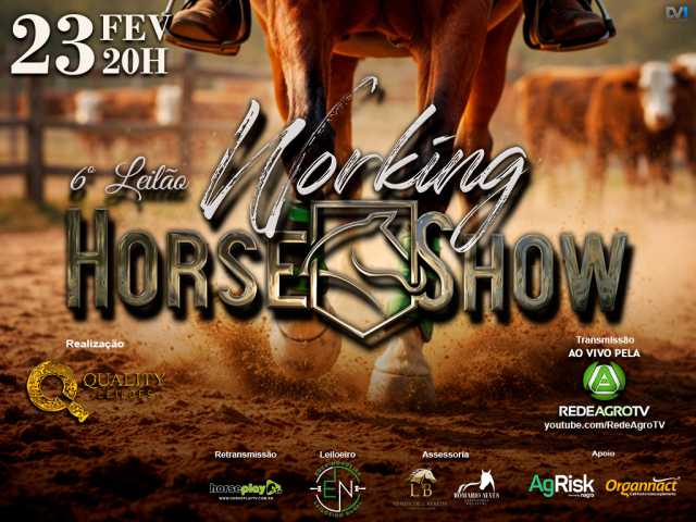 6º Working Horse Show