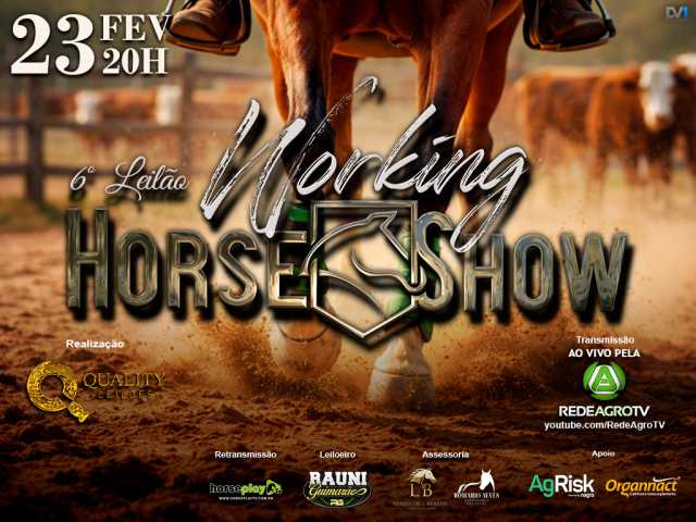 6º Working Horse Show