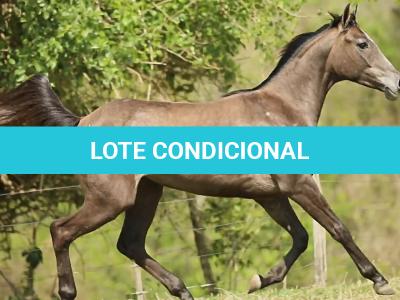 LOTE 013 - KEYS BOON PLAY Z