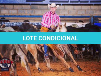 LOTE 016 - EXTRA DOS