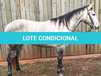 LOTE 001 - BLOND ME A SHINE