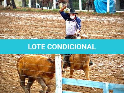 LOTE 016 - EXTRA DOS