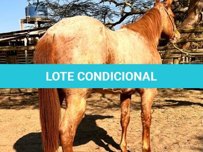 LOTE 010 - PRINCESS JAY KEYS
