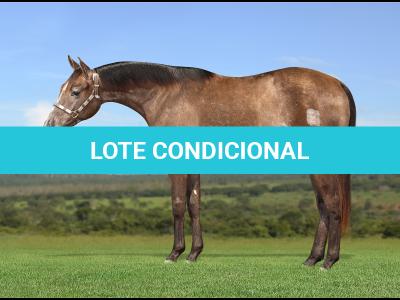 LOTE 013 - KEYS BOON PLAY Z