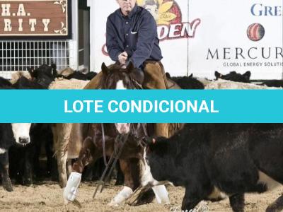 LOTE 015 - EMBRIÃO A EFETIVAR INGRA JAY