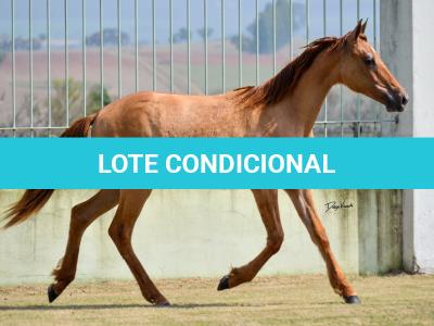 LOTE 009 - MAMA ZORRERO KEYS