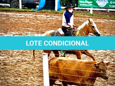 LOTE 016 - EXTRA DOS