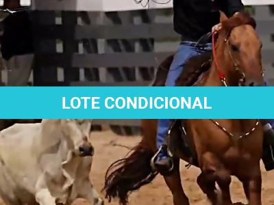 LOTE 012 - TRÊS PONTAS SIMBRONAÇO
