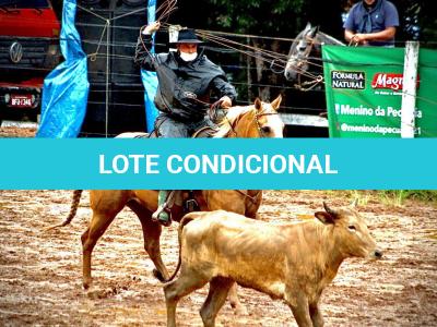 LOTE 016 - EXTRA DOS