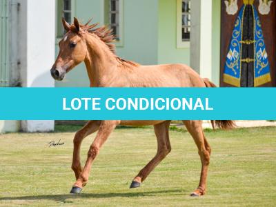 LOTE 009 - MAMA ZORRERO KEYS