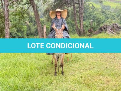 LOTE 011 - SINCERA BP
