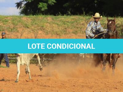 LOTE 005 - TEXANO PLAYBOY PLL