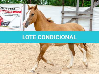 LOTE 015 - APACHE ESM DA PPMP