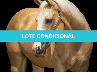LOTE 001 - EXTRA DOS