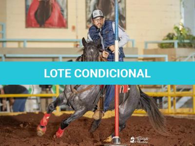 LOTE 005 - EMBRIÃO EFETIVADO (PEPTOBOONREY x NOITE CASH)