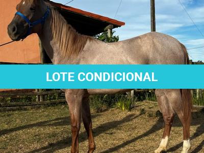 LOTE 011 - QUEEN STREAKIN KEYS