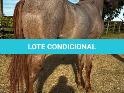 LOTE 011 - QUEEN STREAKIN KEYS