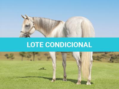 LOTE 002 - STAR DOCBADGERS DOLL - 3x1