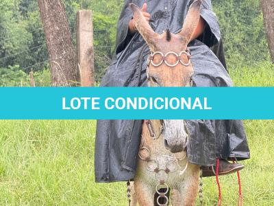 LOTE 011 - SINCERA BP