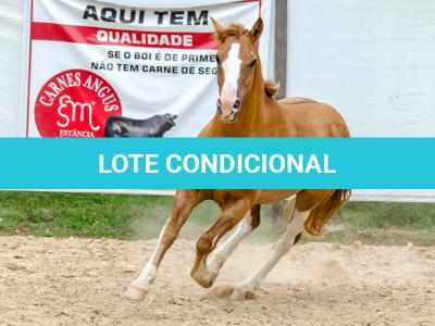 LOTE 015 - APACHE ESM DA PPMP