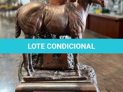 LOTE 005 - TEXANO PLAYBOY PLL