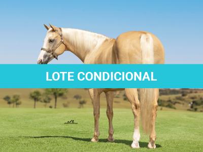 LOTE 001 - EXTRA DOS