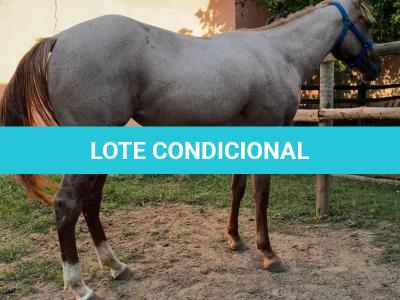 LOTE 011 - QUEEN STREAKIN KEYS