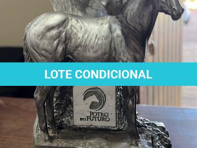 LOTE 005 - TEXANO PLAYBOY PLL