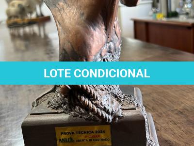 LOTE 005 - TEXANO PLAYBOY PLL