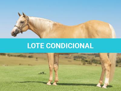 LOTE 001 - EXTRA DOS