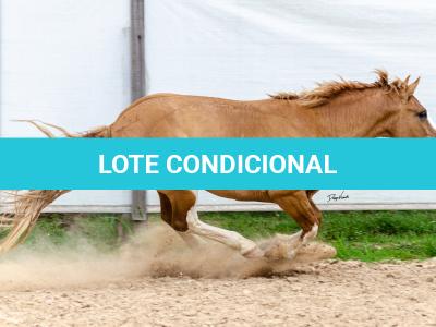 LOTE 015 - APACHE ESM DA PPMP