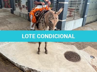 LOTE 011 - SINCERA BP