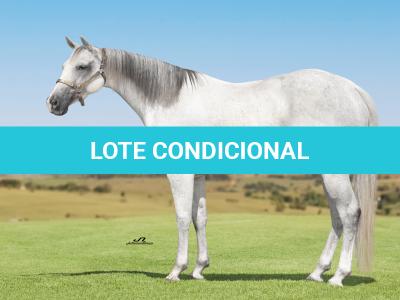 LOTE 002 - STAR DOCBADGERS DOLL - 3x1