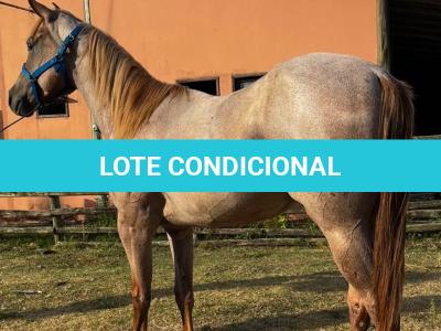 LOTE 011 - QUEEN STREAKIN KEYS