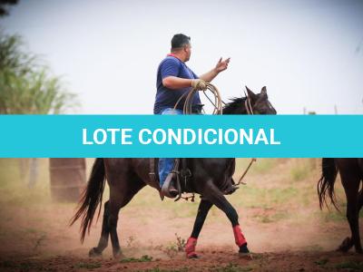 LOTE 004 - LENA FIRE SAND JVM