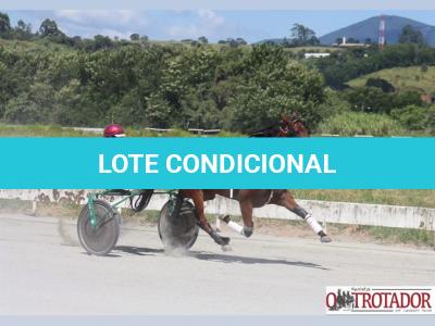 LOTE 002 - CANTIGA SR  (Ventre com Cobertura Exclusiva)